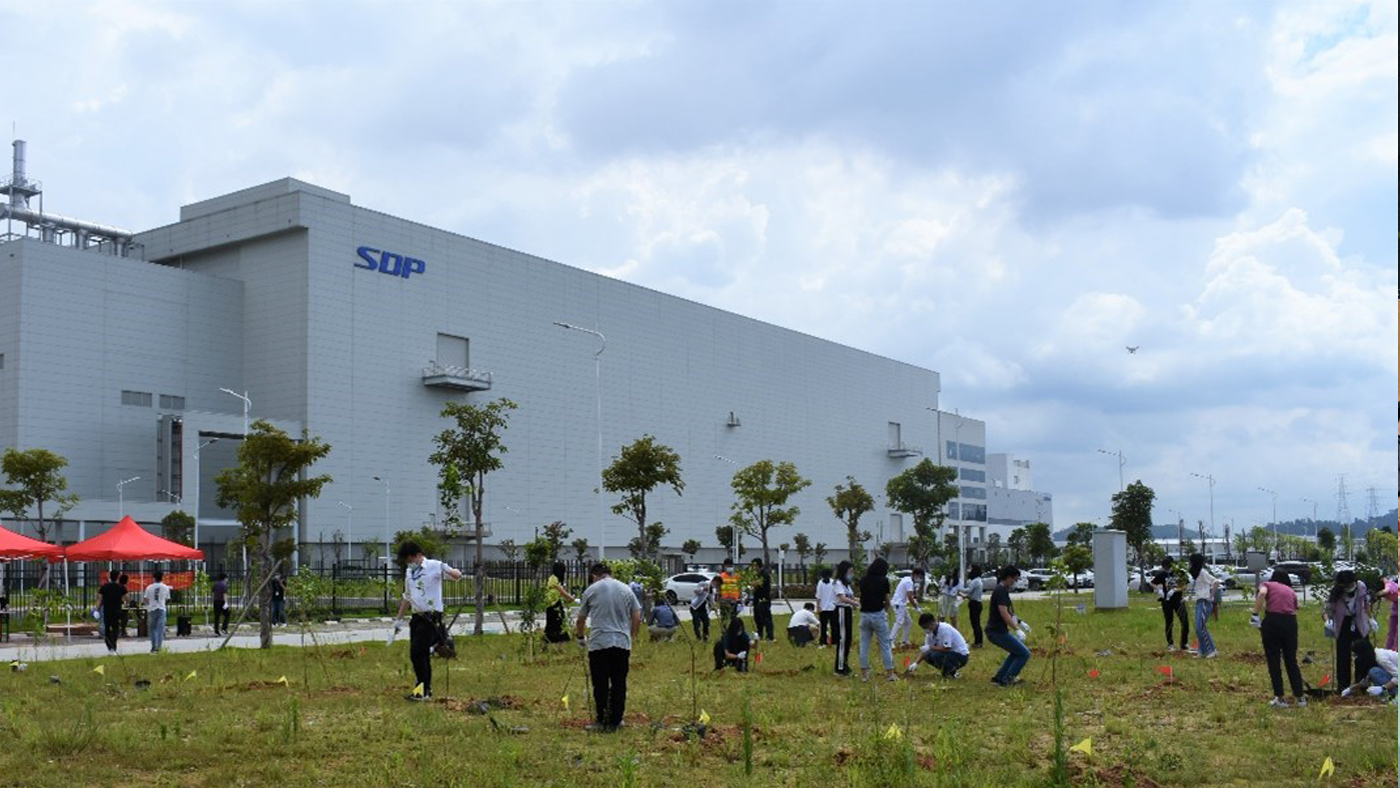 SDP Technologies 2020 World Environment Day Tree-Planting