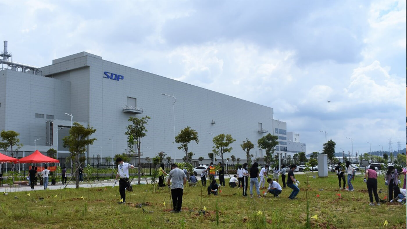 2020年世界环境日超视界植树活动